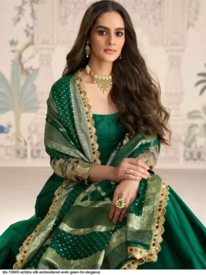 kts-10040-vichitra-silk-embroidered-work-gown-for-elegance-1773313930-7575-1.webp