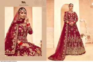 senhora-dresses-new-butterfly-net-anarkali-suit-1776235987-1077-1.webp
